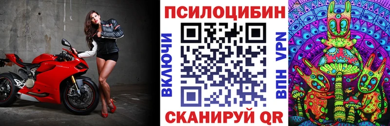 Псилоцибиновые грибы Psilocybine cubensis  Купить где  Черкесск 